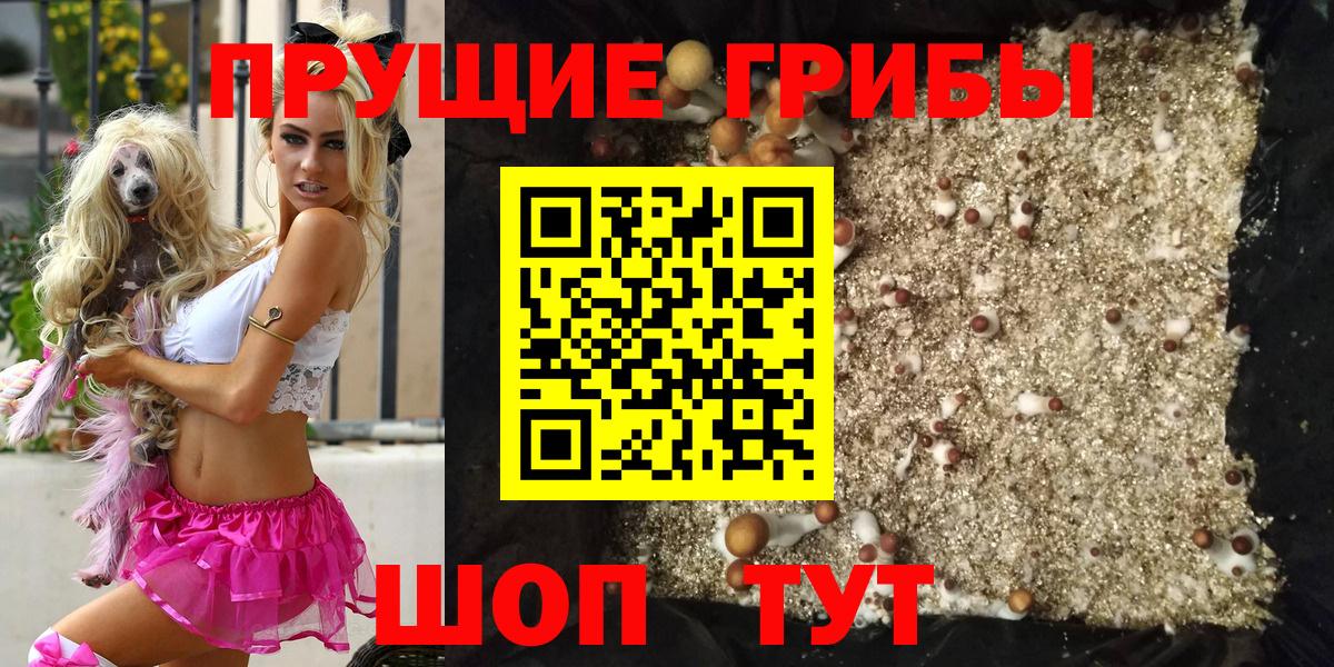 Псилоцибиновые грибы Psilocybine cubensis Спасск-Дальний
